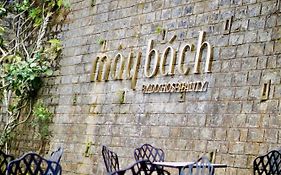 DD Hospitality - Mây Bách Đà lạt